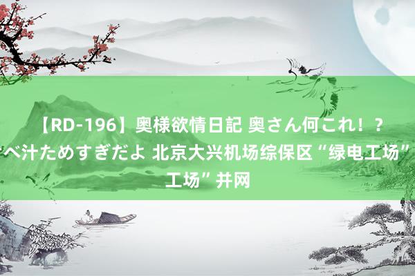 【RD-196】奥様欲情日記 奥さん何これ！？スケベ汁ためすぎだよ 北京大兴机场综保区“绿电工场”并网