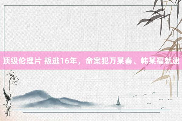 顶级伦理片 叛逃16年，命案犯万某春、韩某福就逮