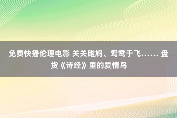 免费快播伦理电影 关关雎鸠、鸳鸯于飞…… 盘货《诗经》里的爱情鸟