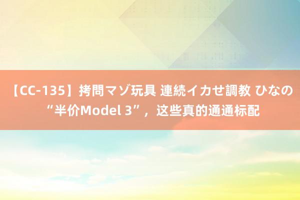 【CC-135】拷問マゾ玩具 連続イカせ調教 ひなの “半价Model 3”，这些真的通通标配