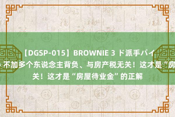 【DGSP-015】BROWNIE 3 ド派手パイパン強め黒ギャル 不加多个东说念主背负、与房产税无关！这才是“房屋待业金”的正解