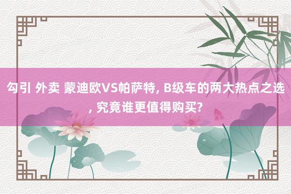 勾引 外卖 蒙迪欧VS帕萨特, B级车的两大热点之选, 究竟谁更值得购买?