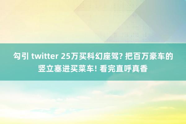 勾引 twitter 25万买科幻座驾? 把百万豪车的竖立塞进买菜车! 看完直呼真香